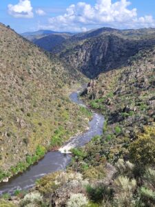 The canyon of river Coa