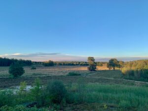 GORSSELSE HEIDE ochtend