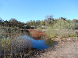 GORSSELSE HEIDE ven 02