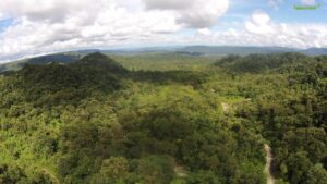 View over the Merazonia reserve