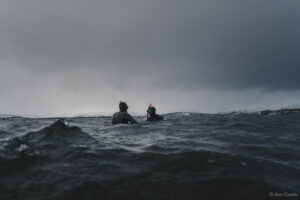 Freedivers at a kelp restoration site (Ann Cools)