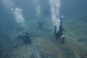 Divers handpicking urchins (Ann Cools)